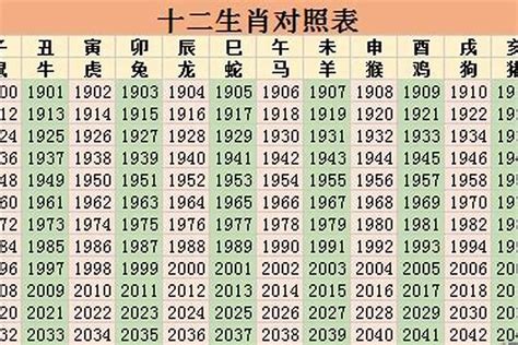 2023年是什么命|2023年出生五行属什么的 是什么命